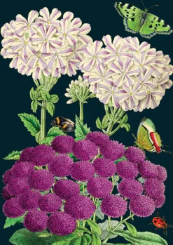 Madame Treacle Purples Greetings Card
