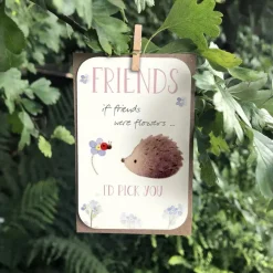 Ginger Betty "Friends- I'd Pick You" Keepsake Card
