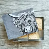 Dean's of Huntley Shortbread Rab McCoo The Noo All Butter Assortment Tin 400g