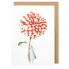 Laura Stoddart Red & White Dahlia Blank Greetings Card