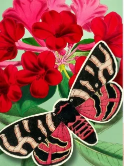 Madame Treacle Red Pop Up Greeting Card with Butterfly