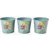 Burgon & Ball RHS Asteraceae Set of 3 Herb pots