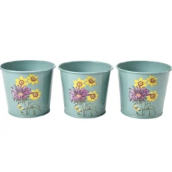 Burgon & Ball RHS Asteraceae Set of 3 Herb pots