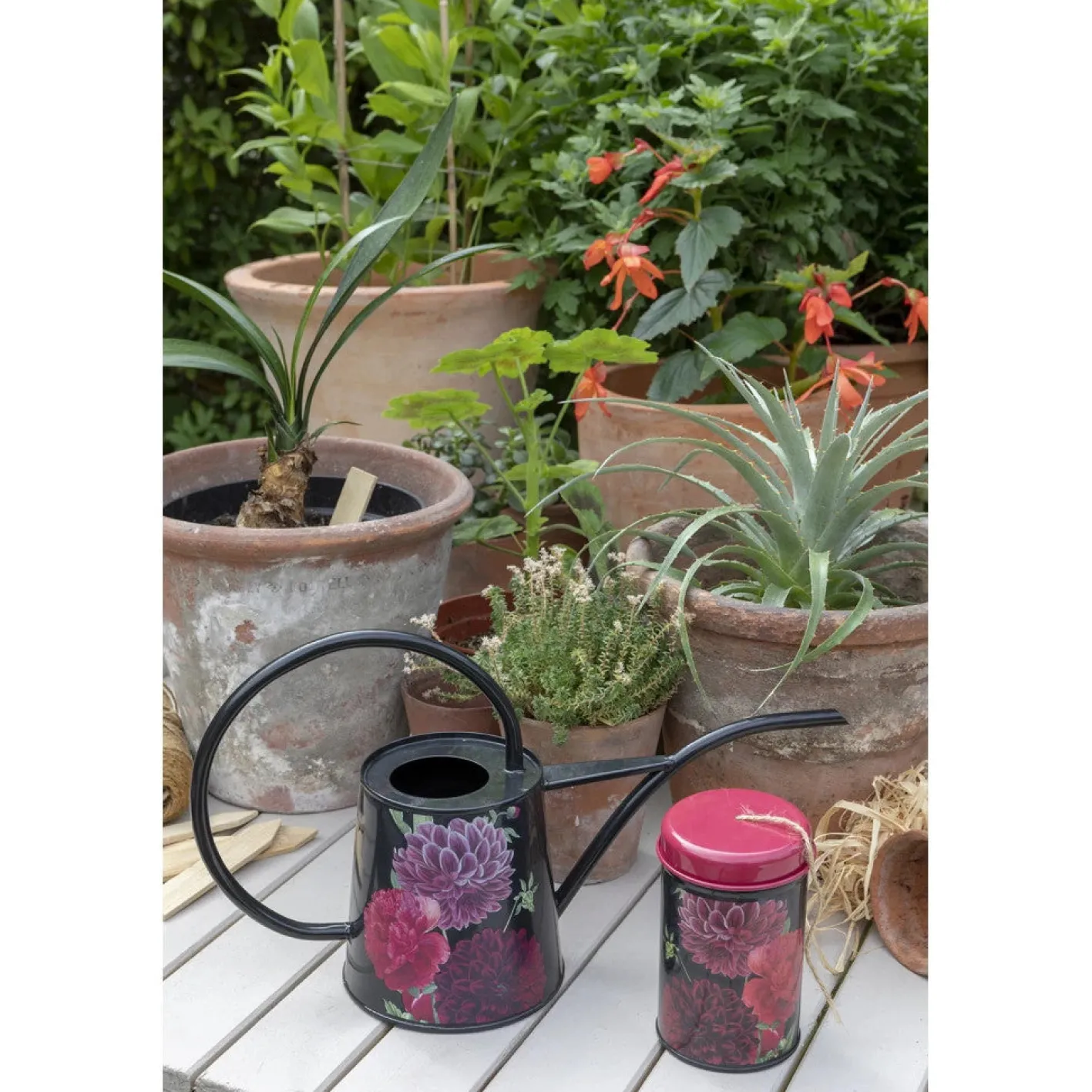 Burgon & Ball RHS British Bloom Indoor Watering Can