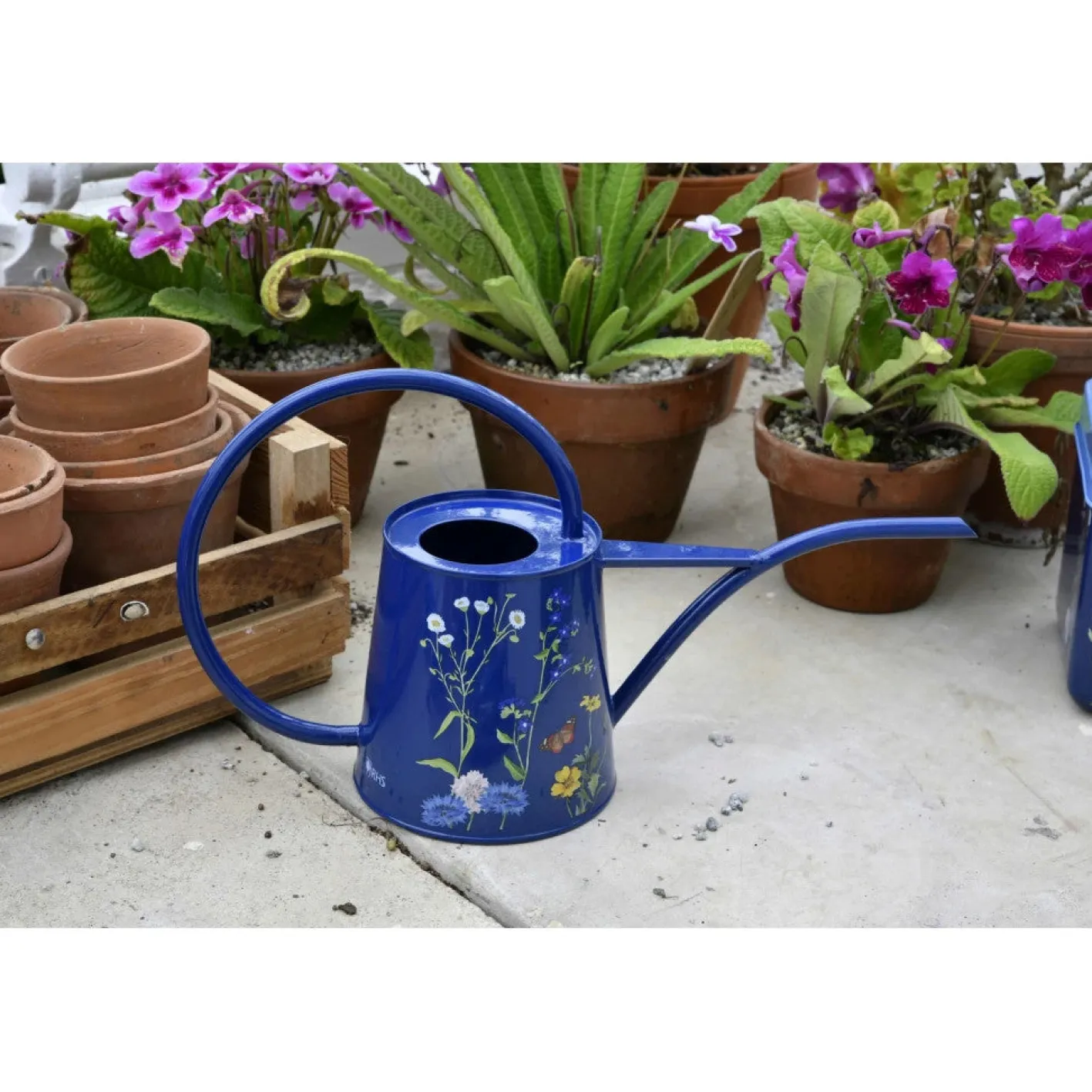Burgon & Ball RHS British Meadow Indoor Watering Can
