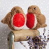 Hawthorn Handmade Robins Needle Felting Kit