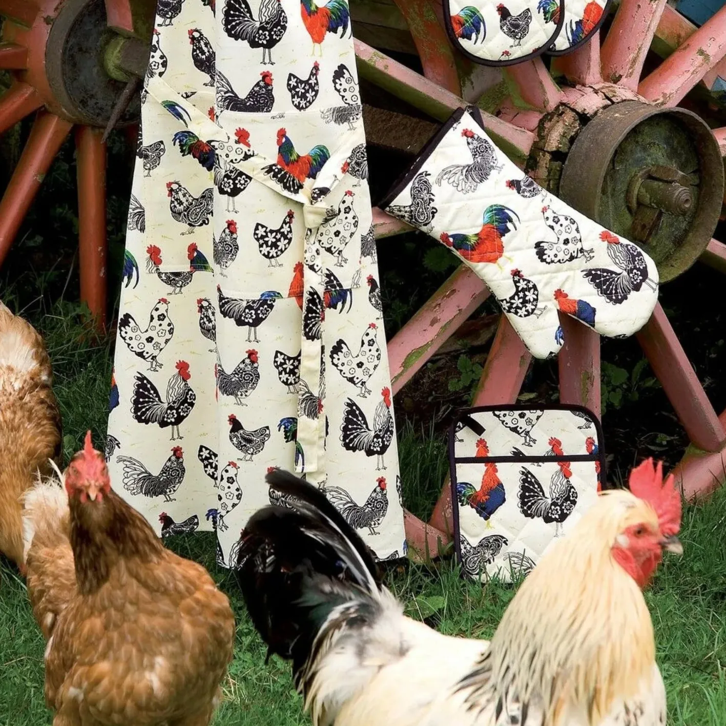Ulster Weavers Rooster Muff Tea Cosy