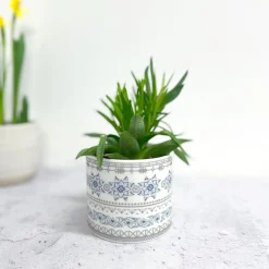Alex Allday Safflower Ceramic Planter Pot/Tea Light Holder