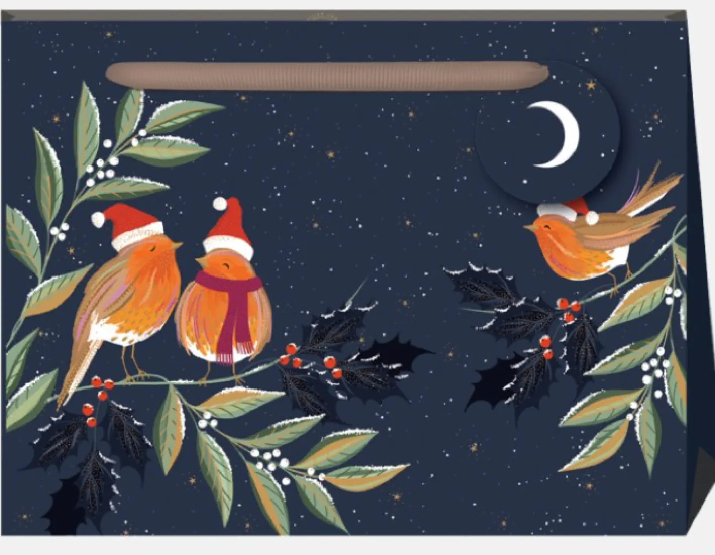 Penny Kennedy Sara Miller Robin Chorus Midnight Shopper Gift Bag