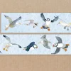 Emma Ball Seabirds 20mm Washi Tape