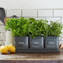 Burgon & Ball Set of 3 Herb Pots in a Leather Handled Tray - Grey
