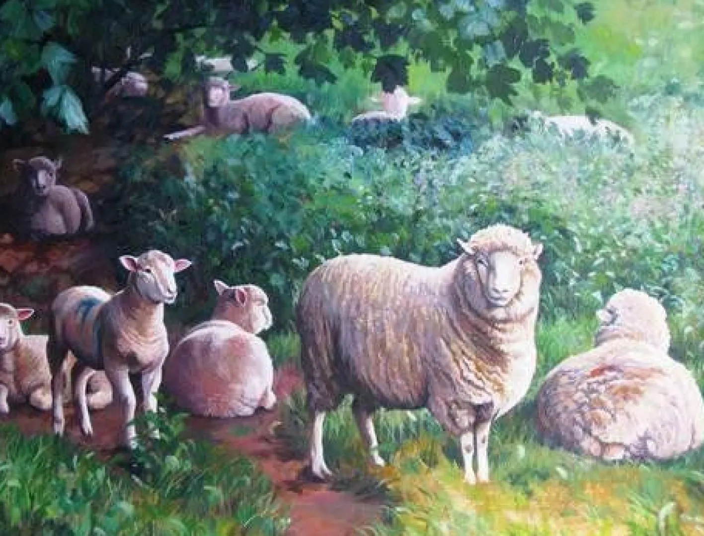All Jigsaw Puzzles Sheep In Shade 1000 Piece Jigsaw Puzzle