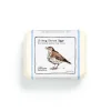 The Chocolate Detective 12 Song Thrush Eggs by