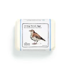 The Chocolate Detective 12 Song Thrush Eggs by