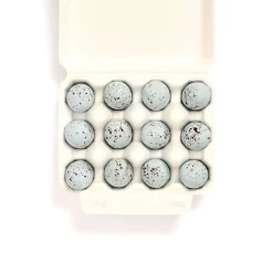 The Chocolate Detective 12 Song Thrush Eggs by
