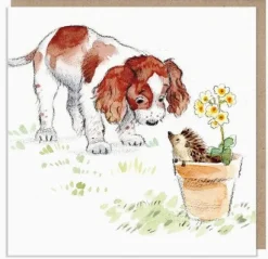 Paper Shed Design Spaniel with Hedgehog Greetings Card