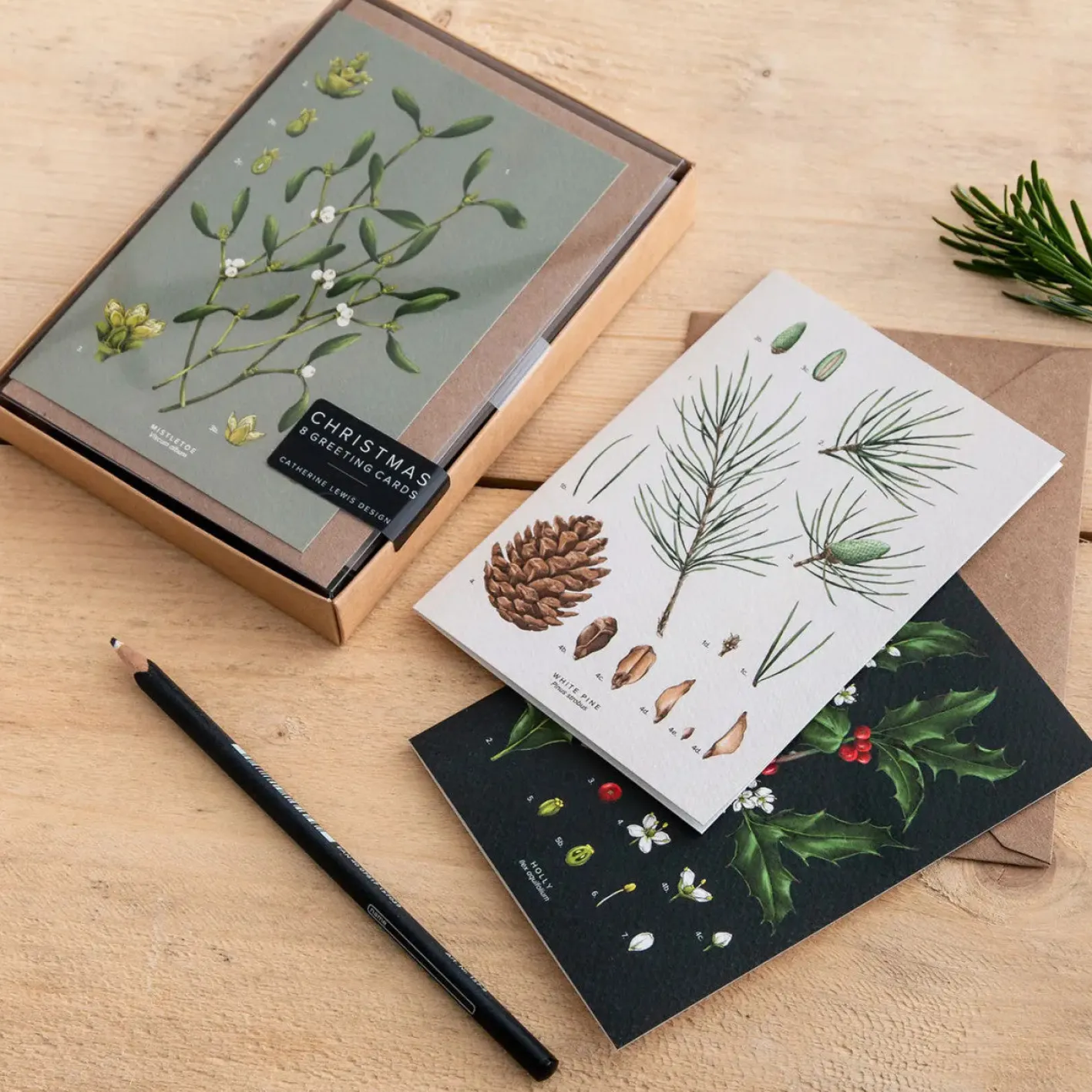 Catherine Lewis Species Range - Box of 8 Luxury Botanical Christmas Cards