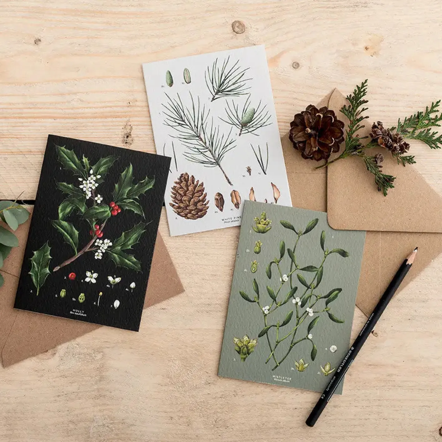 Catherine Lewis Species Range - Box of 8 Luxury Botanical Christmas Cards