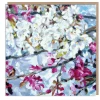 Paper Shed Design Spring Blossoms by Dan O'Brien Greetings Card