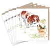 Paper Shed Design Springer Spaniel and Hedgehog Set of 5  Notecards