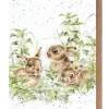 Wrendale Designs 'Spring Hares' Bunny Greetings Card