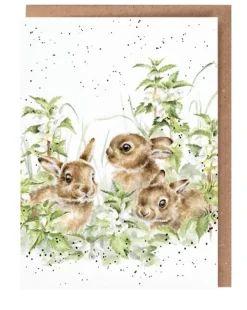 Wrendale Designs 'Spring Hares' Bunny Greetings Card