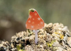 Dapple & Dot Starry Mushroom Wooden Decorations