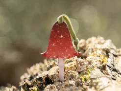 Dapple & Dot Starry Mushroom Wooden Decorations