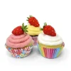 The Crafty Kit Co. Strawberry Cupcakes Needle Felting Craft Kit