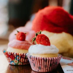 The Crafty Kit Co. Strawberry Cupcakes Needle Felting Craft Kit