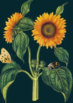 Madame Treacle Sunflower Greetings Card