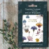 Toasted Crumpet Thanks So Much Regency Gardens Boxed Set of 6 Notecards