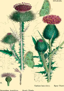 Madame Treacle Thistle Glitter Greetings Card