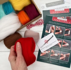 Bergin & Bath Toadstools Needle Felting Kit