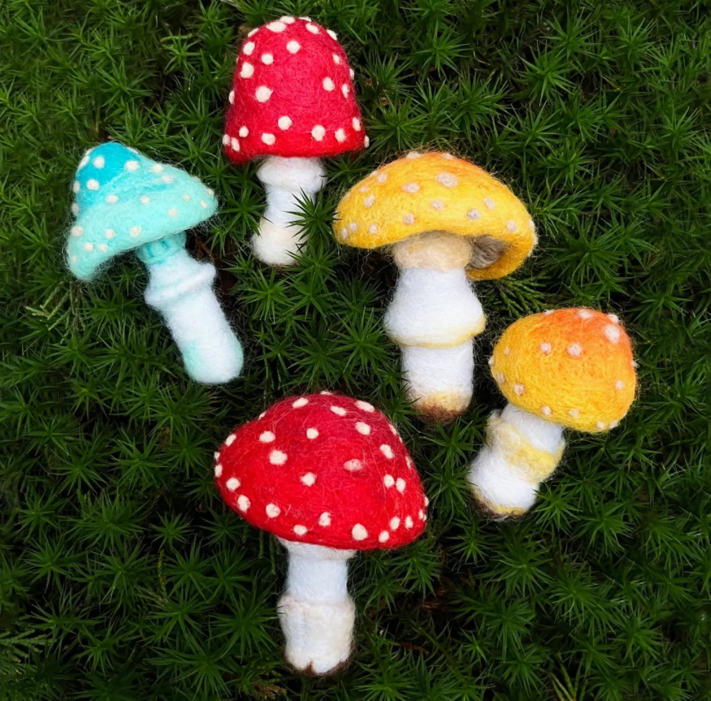 Bergin & Bath Toadstools Needle Felting Kit