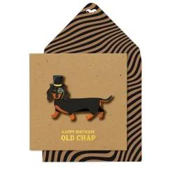 Tache Cards Top Hat Sausage Dog Card