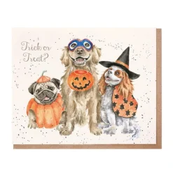 Wrendale Designs 'Trick or Treat?' Halloween Greeting Card