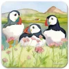 Emma Ball Trio Sea Thrift Puffins 2 Coaster
