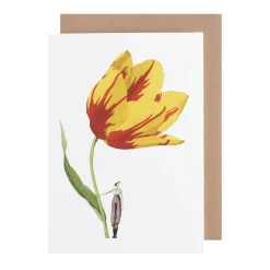 Laura Stoddart Tulip Blank Greetings Card