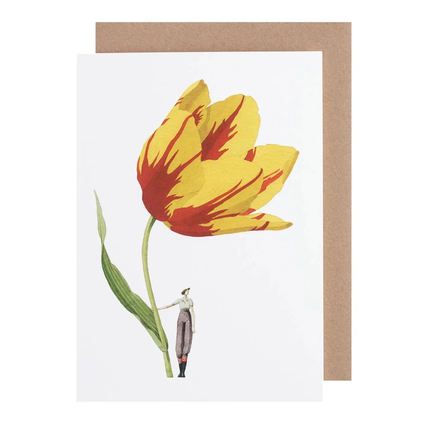 Laura Stoddart Tulip Blank Greetings Card