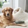 Sweet William Tweed Dog Bone Shaped Dog Toy - Green