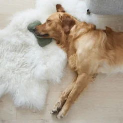 Sweet William Tweed Dog Bone Shaped Dog Toy - Green
