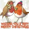 Emma Ball Two Robins Pack of 6 Christmas Cards
