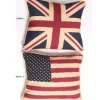 Woven Magic Union Americana 18 x 18inch Pillow