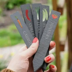 This Is Nessie Vegetable Slate Plant Markers by