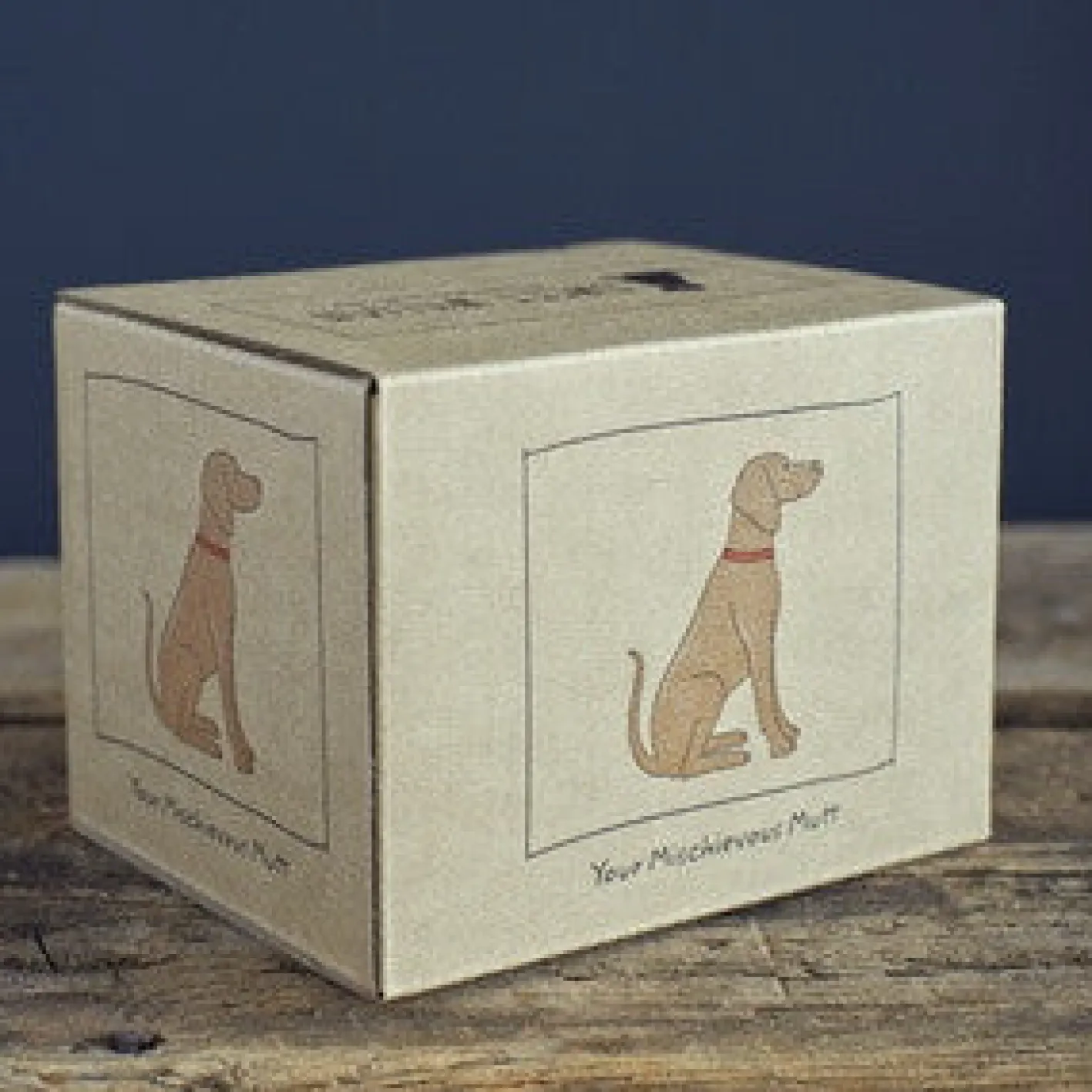 Sweet William Vizsla Mug Boxed