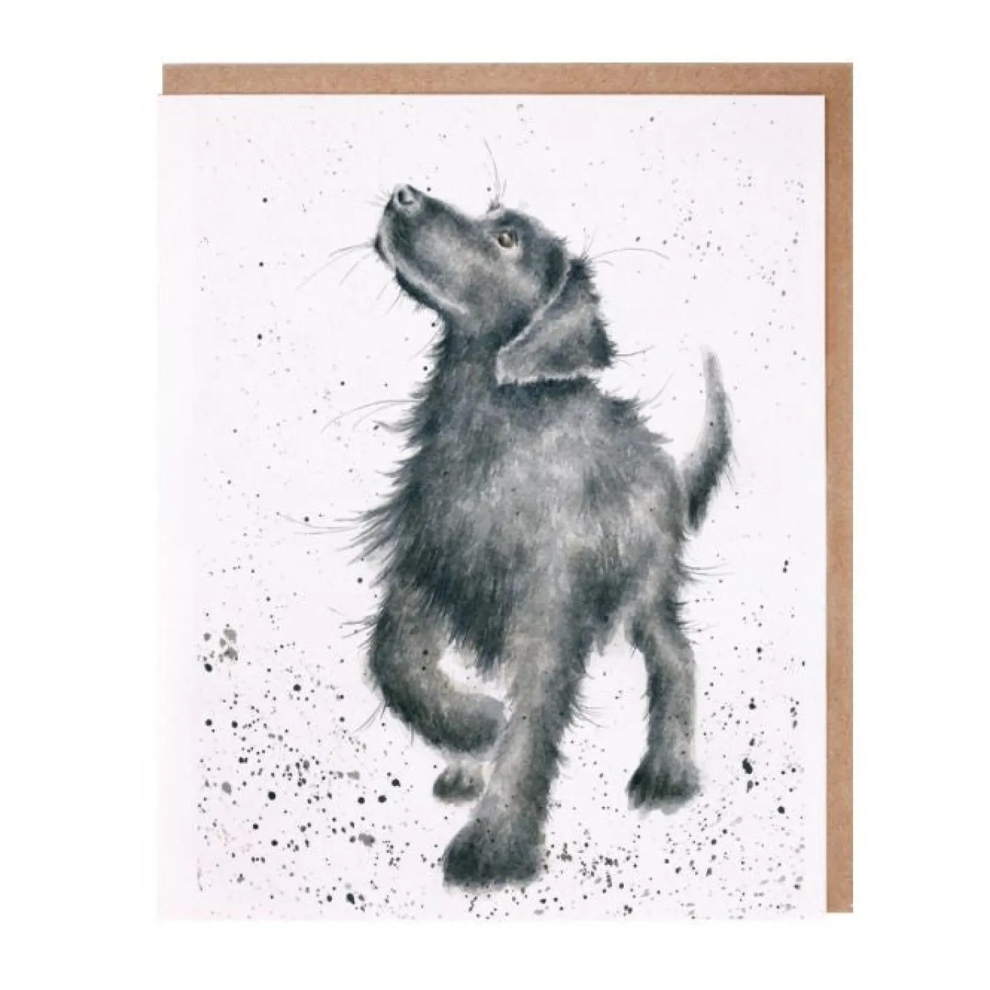 Wrendale Designs 'Walkies' Blank Greetings Card