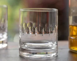 The Vintage List Whisky Glass with Lens Design by