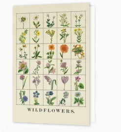Roomytown Wildflowers Greetings Card