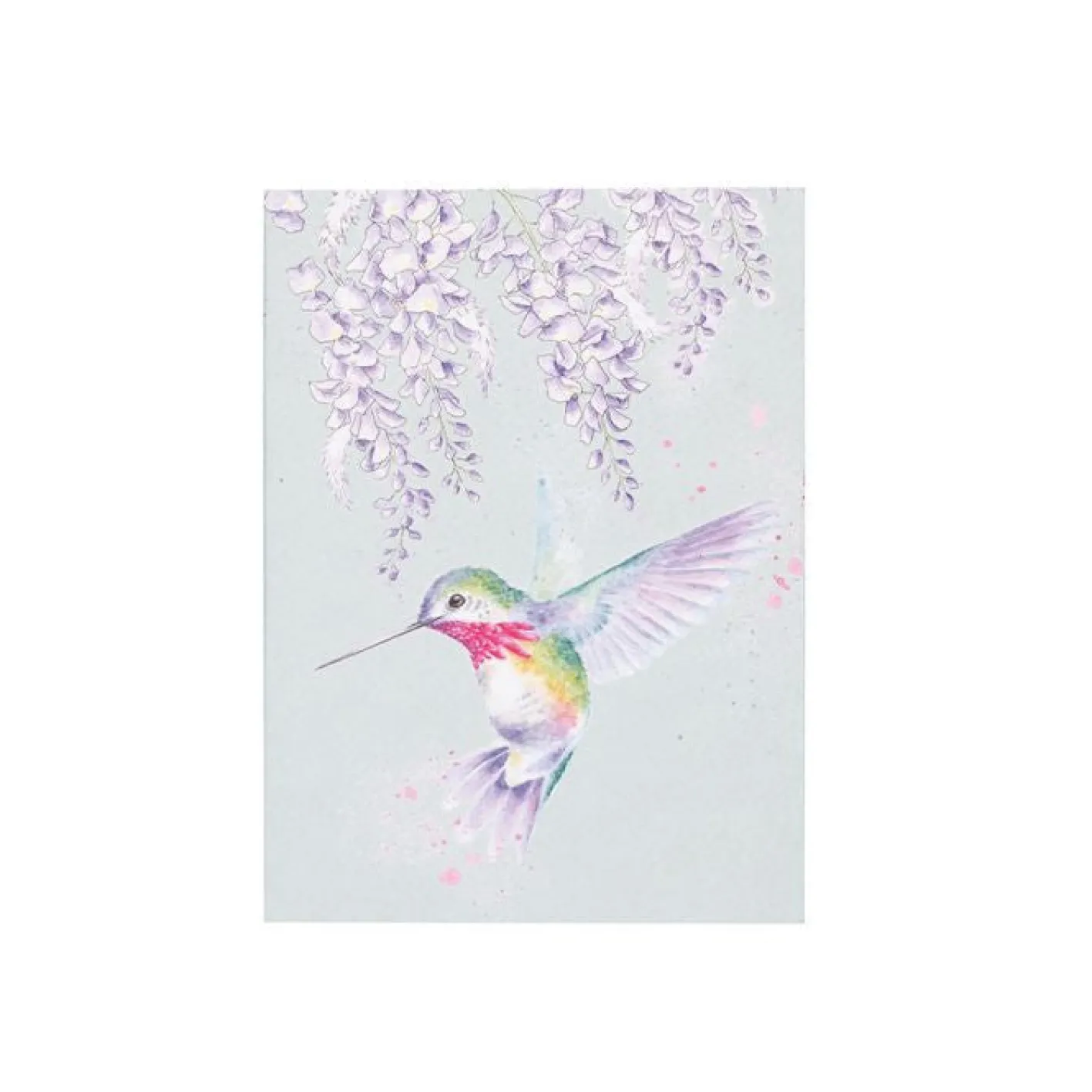 Wrendale Designs 'Wisteria Wishes' Hummingbird A6 Notebook